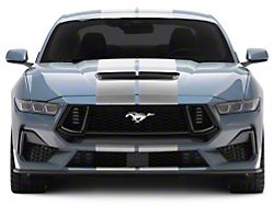 SEC10 Lemans Stripes; Silver; 10-Inch (24-25 Mustang)