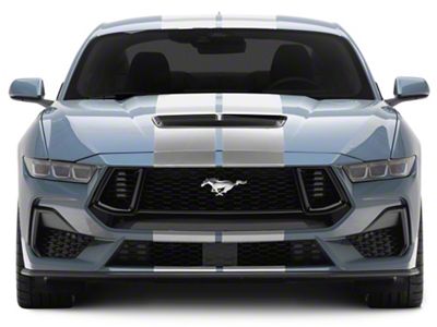 SEC10 Lemans Stripes; Silver; 10-Inch (2024 Mustang)