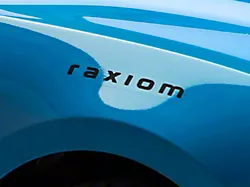 SEC10 Raxiom Hood Decal; Black (Universal; Some Adaptation May Be Required)