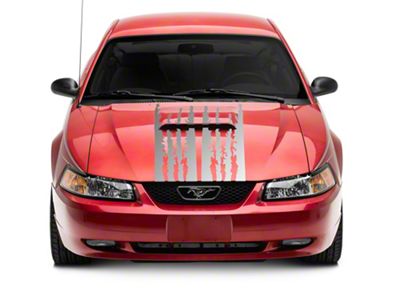 SEC10 Shredded Full Length Stripes; Sliver (99-04 Mustang)