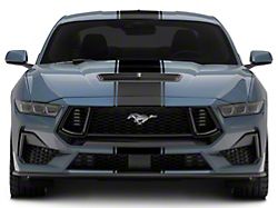 SEC10 Pin Striped Full Length Stripes; Matte Black (24-26 Mustang)