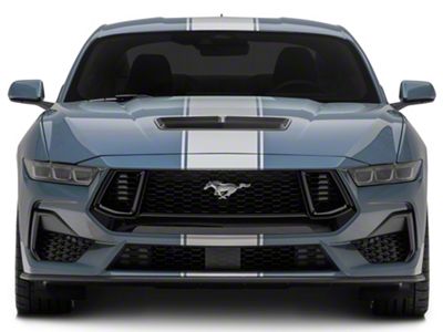 SEC10 Pin Striped Full Length Stripes; Silver (2024 Mustang)