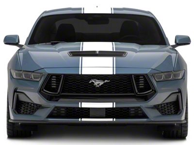 SEC10 Pin Striped Full Length Stripes; White (2024 Mustang)