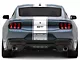 SEC10 Pin Striped Full Length Stripes; White (2024 Mustang)