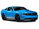 SHR Lower Grille Insert; Diamond Mesh (10-12 Mustang GT)