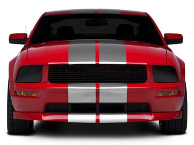 SEC10 GT500 Style Stripes; Silver; 10-Inch (05-14 Mustang)