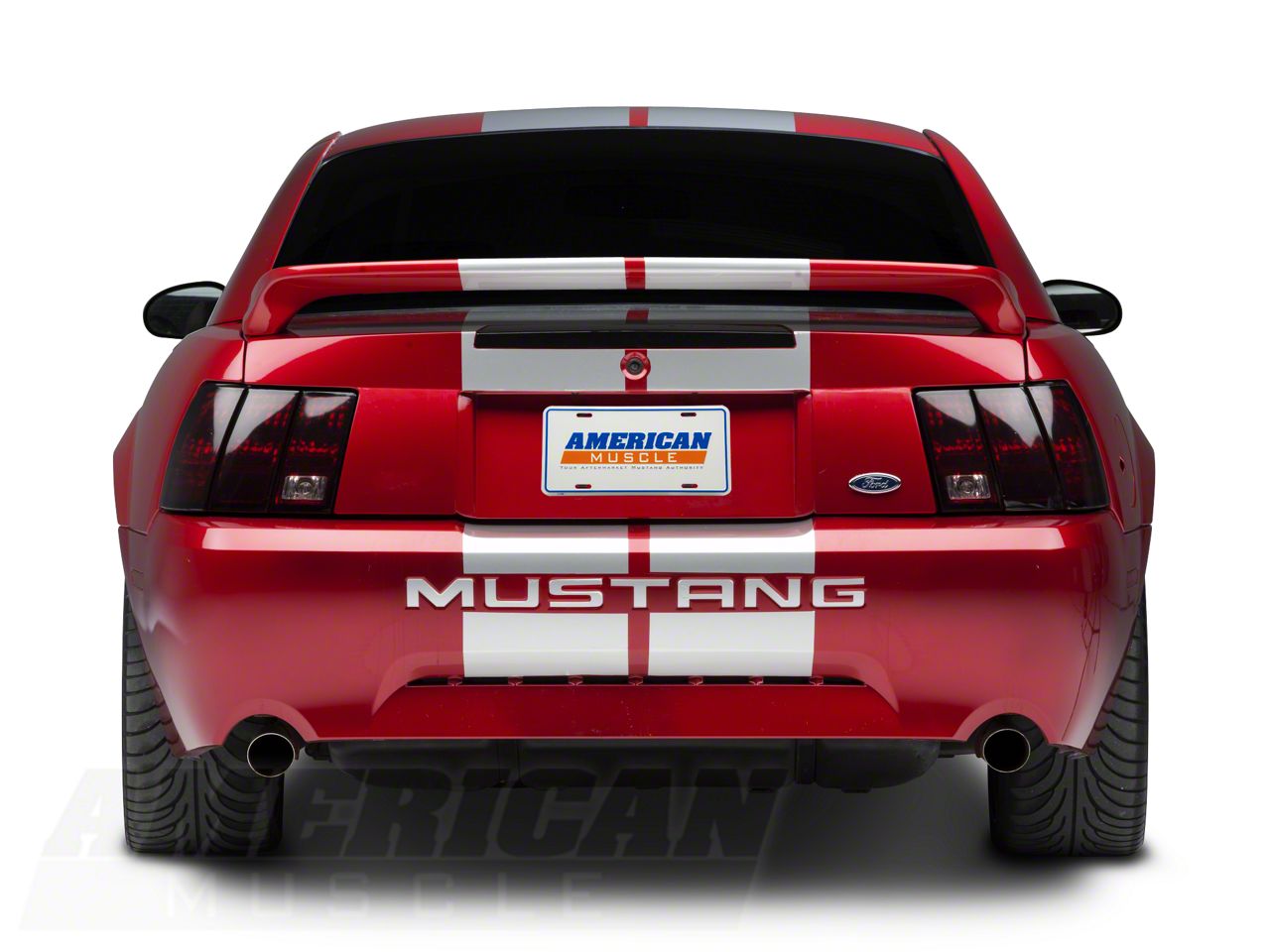 SEC10 Mustang GT500 Style Stripes; Silver; 10-Inch 26167G94