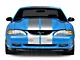 SEC10 GT500 Style Stripes; Silver; 10-Inch (94-04 Mustang)