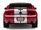 SEC10 Lemans Stripes; Silver; 12-Inch (05-14 Mustang)