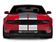 SEC10 Lemans Stripes; Silver; 12-Inch (05-14 Mustang)
