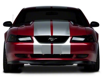 SEC10 Lemans Stripes; Silver; 12-Inch (94-04 Mustang)