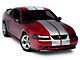 SEC10 Lemans Stripes; Silver; 12-Inch (94-04 Mustang)