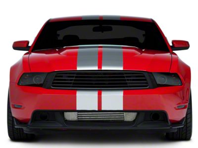 SEC10 Lemans Stripes; Silver; 8-Inch (05-14 Mustang)