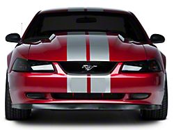 SEC10 Lemans Stripes; Silver; 8-Inch (94-04 Mustang)