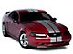 SEC10 Lemans Stripes; Silver; 8-Inch (94-04 Mustang)