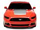 SEC10 Hood Decal; Silver (15-17 Mustang GT, EcoBoost, V6)