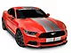 SEC10 GT500 Style Stripes; Silver; 10-Inch (15-23 Mustang)