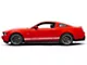 Rocker Stripes with Mustang Lettering; Silver (05-14 Mustang)