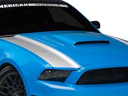 SEC10 Outer Hood Stripes; Silver (13-14 Mustang)
