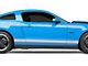 SEC10 Rocker Stripes; Silver (05-14 Mustang)