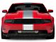 SEC10 Super Snake Style Stripes; Silver (05-14 Mustang)