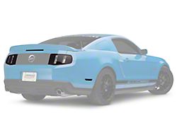 SEC10 Light Tint; Smoked (10-12 All)