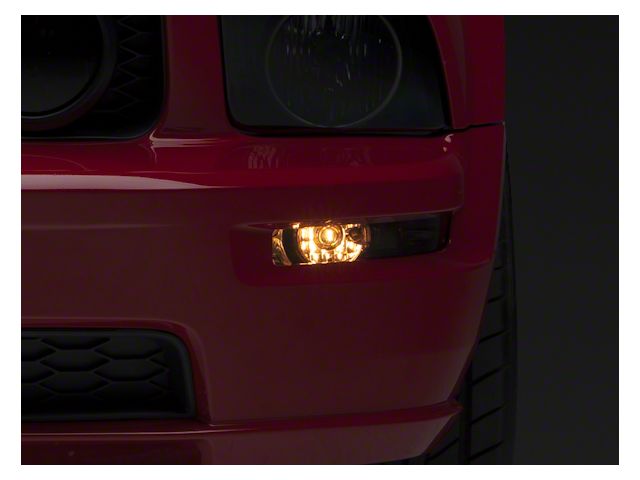 Turn Signal Lights; Smoked (05-09 Mustang)