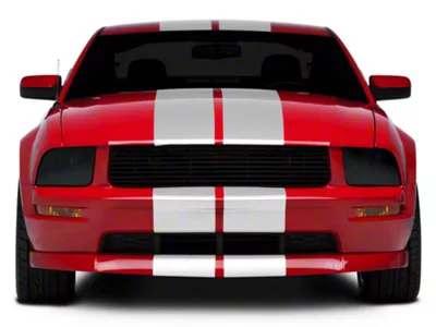 SpeedForm GT500 Style Stripes; White; 10-Inch (05-09 Mustang)