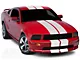 SpeedForm GT500 Style Stripes; White; 10-Inch (05-09 Mustang)