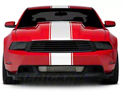 SpeedForm Super Snake Style Stripes; White (10-14 Mustang)