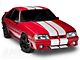 SpeedForm GT500 Style Stripes; White; 10-Inch (79-93 Mustang)