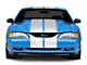 SpeedForm GT500 Style Stripes; White; 10-Inch (94-98 Mustang)