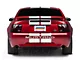 SpeedForm GT500 Style Stripes; White; 10-Inch (99-04 Mustang)