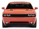 SEC10 AmericanMuscle Windshield Banner; White (08-23 Challenger)
