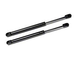 SpeedForm Hood Lift Support Struts (08-10 Charger)