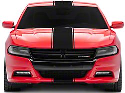SEC10 Pin Striped Full Length Stripes; Matte Black (06-23 Charger)