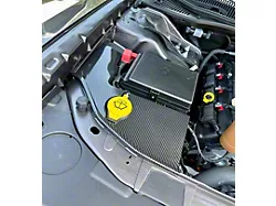 SpeedLogix ABS Cover; Carbon Fiber (15-23 Challenger)