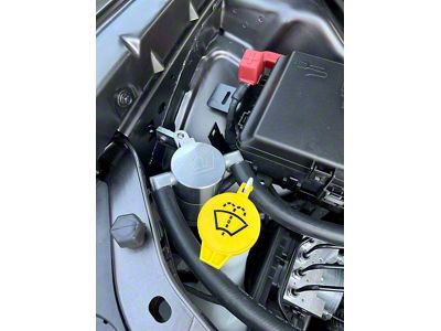 SpeedLogix Oil Catch Can with Fender Mount (Universal; Some Adaptation May Be Required)