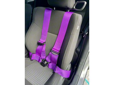 SpeedLogix 4-Point Camlock Elite Racing Harness Belt; Hot Pink (Universal; Some Adaptation May Be Required)