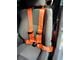 SpeedLogix 4-Point Camlock Elite Racing Harness Belt; Orange (Universal; Some Adaptation May Be Required)