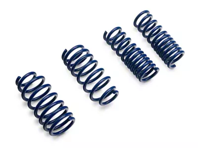SR Performance Lowering Springs (06-23 RWD Charger, Excluding SRT)