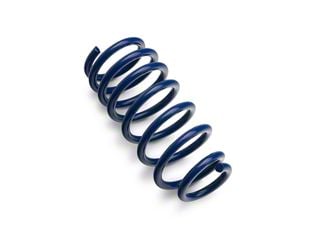 SR Performance Lowering Springs (06-23 RWD Charger, Excluding SRT)