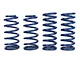 SR Performance Lowering Springs; Touring (79-04 Mustang Coupe, Excluding 99-04 Cobra)