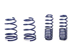 SR Performance Lowering Springs (05-14 Mustang GT Coupe, V6 Coupe)