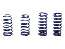 SR Performance Lowering Springs; Sport (79-04 Mustang Coupe, Excluding 99-04 Cobra)