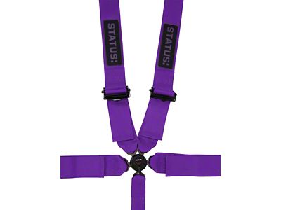 Status: 5-Point Camlock Harness; Purple (Universal; Some Adaptation May Be Required)