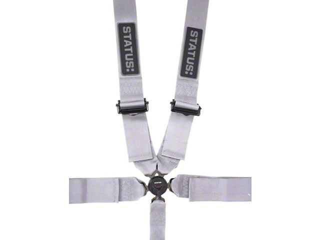 Status: 5-Point Camlock Harness; Silver (Universal; Some Adaptation May Be Required)