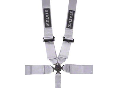 Status: 5-Point Camlock Harness; Silver (Universal; Some Adaptation May Be Required)