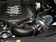 Steeda Cold Air Intake (11-14 Mustang GT w/ Manual Transmission)