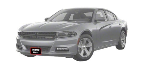 sto-n Sto N Sho Charger Detachable Front License Plate Bracket; Lower